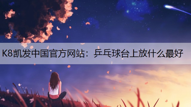 乒乓球台上放什么最好